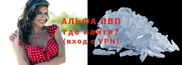гашик Володарск