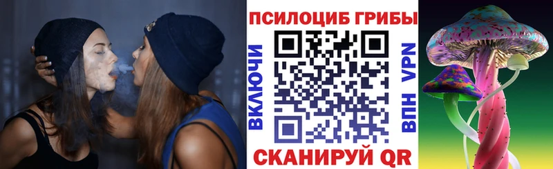 блэк спрут как войти  Разумное  Псилоцибиновые грибы GOLDEN TEACHER 